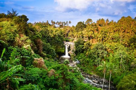 Bali for Kids and Families