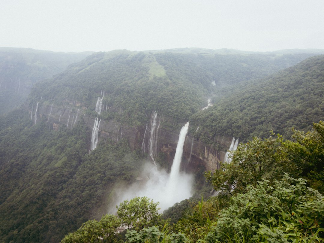 Forest waterfall in Meghalaya. Photo by Bhuban Narzari on Unsplash.