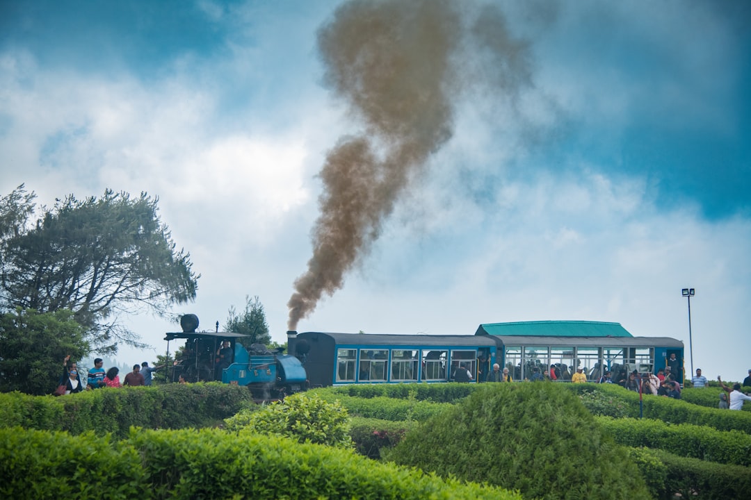 Darjeeling tea gardens